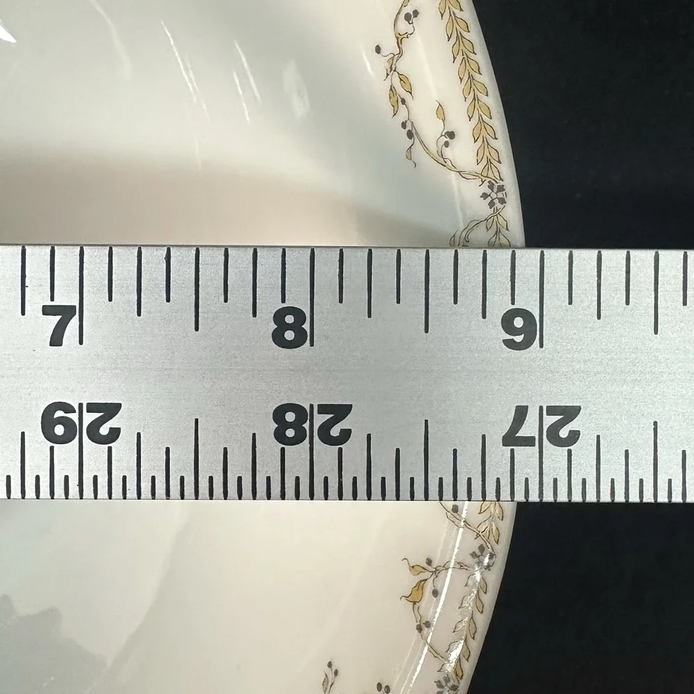 Haviland & Co. Limoges 9
